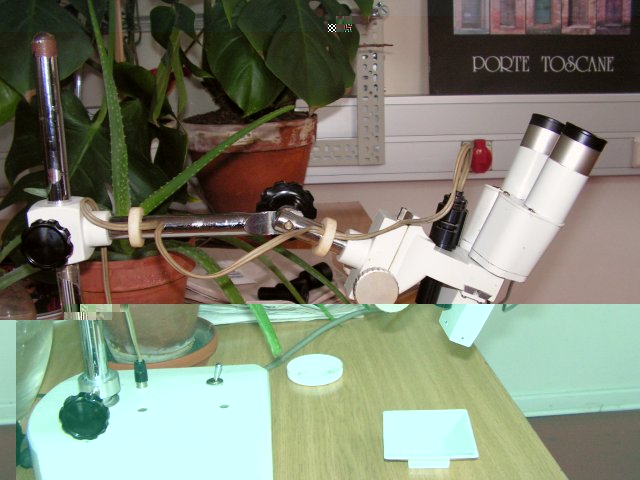 Mikroskop01.jpg