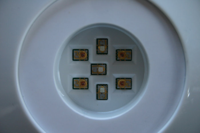 LEDs