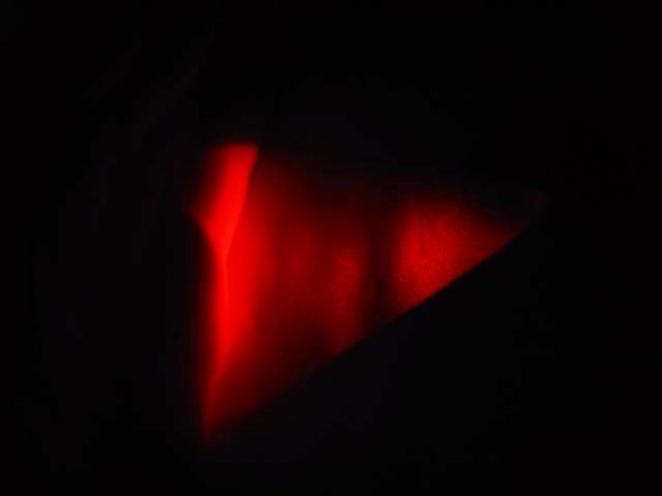 343_IMG_0180_1.jpg