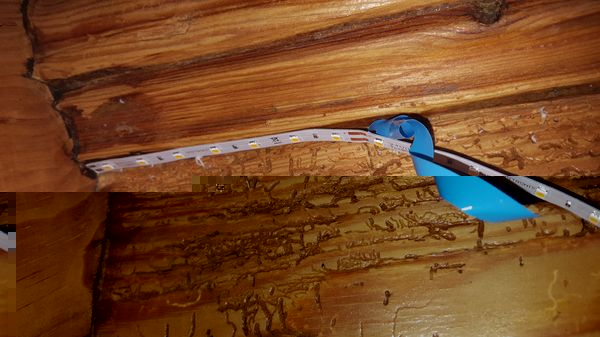 Alte Holztreppe. Hatte Angst, dass die Klebefläche nicht eben genug ist. Wie man sieht hat die Treppe "Struktur"