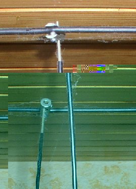 455_P1010153_1.jpg