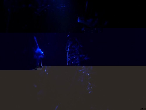 mondlicht2.JPG